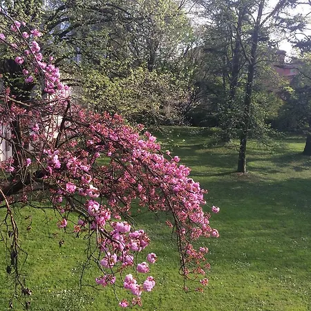 Frühstückspension Il Cantelino Padua